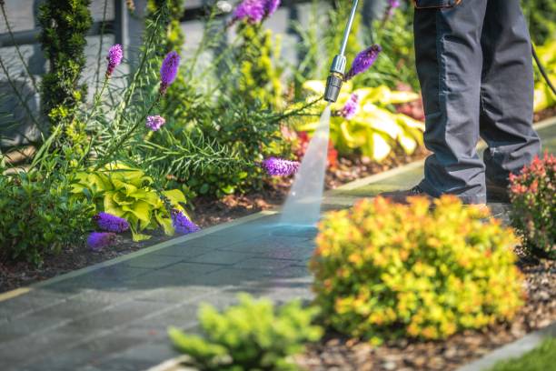 Best Residential Pressure Washing in Winthrop, IA