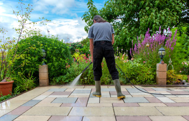  Winthrop, IA Pressure Washing Pros